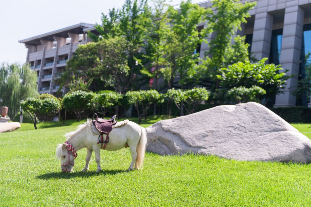 欧博·(allbet)官方网站